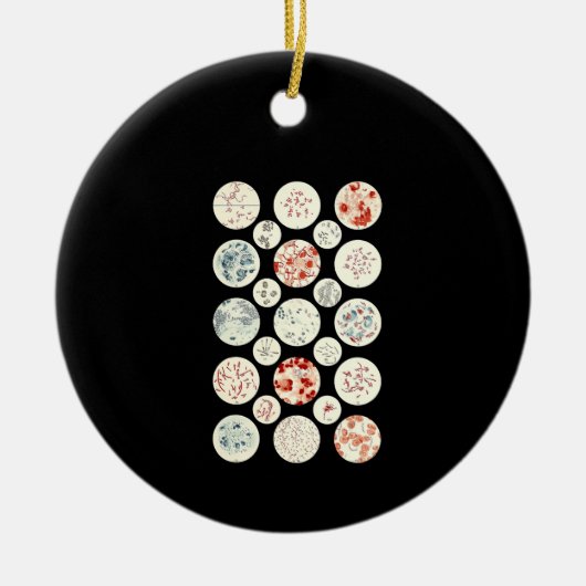 bacterie microbiologie microbiologie microbiologie keramisch ornament (Voorkant)