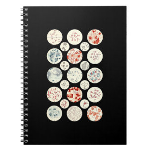 bacterie microbiologie microbiologie microbiologie notitieboek