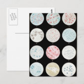 Bacteriën Briefkaart (Voorkant / Achterkant)