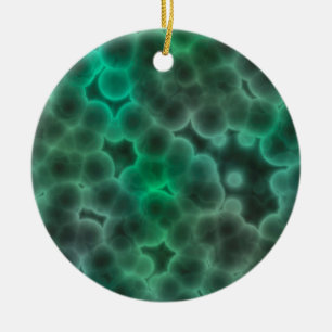 Bacteriën Keramisch Ornament