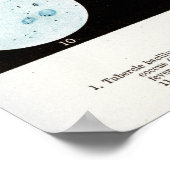 Bacteriën Poster (Hoek)