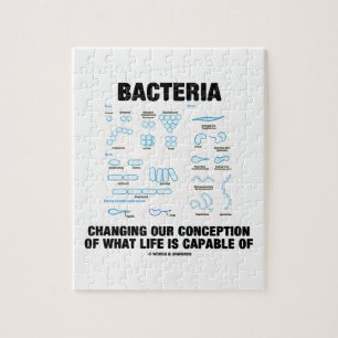 Bacteriën veranderen onze opvatting over het leve legpuzzel