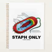 Bactéries de céphalées uniquement Diagramme de bac (Devant)