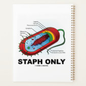 Bactéries de céphalées uniquement Diagramme de bac (Dos)