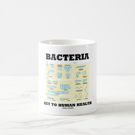 Bacteriesleutel voor de morfologie van de menselij koffiemok (Center)