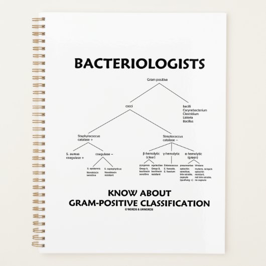 Bacteriologen kennen een positieve classificatie planner (Voorkant)