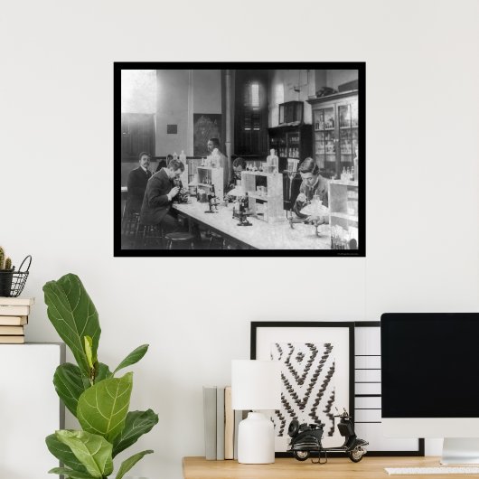 Bacteriology Lab bij Howard University 1900 Poster (Thuiskantoor)