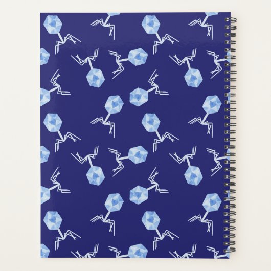 Bactériophages arc-en-ciel (Dos)