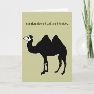 Bactrian Camel Congratulations Card Kaart