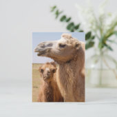 Bactrian Camel Portrait Briefkaart (Staand voorkant)