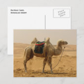 Bactrische kameel Mongolië Briefkaart (Voorkant / Achterkant)