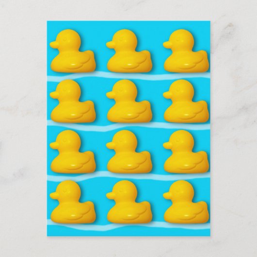 Bad Eenden Briefkaart (Voorkant)