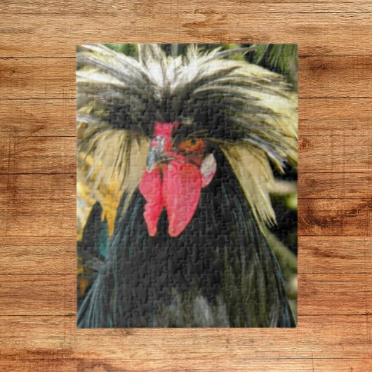 Bad Hair Chicken Photo Legpuzzel