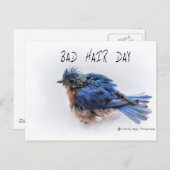 Bad Hair Day Briefkaart (Voorkant / Achterkant)