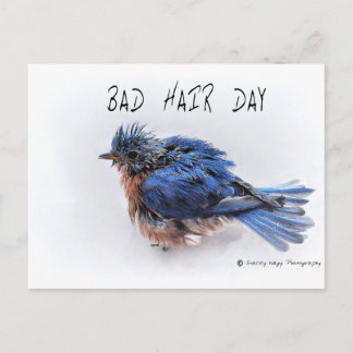 Bad Hair Day Briefkaart