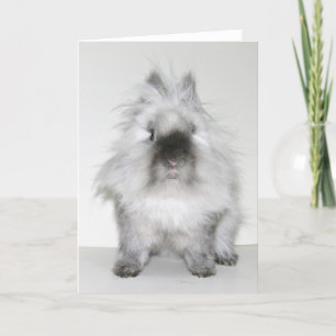 Bad hair day bunny kaart