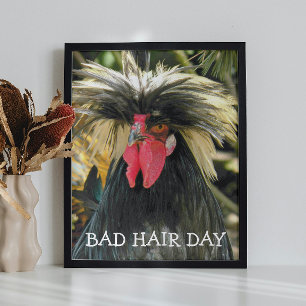 Bad Hair Day Chicken Meme Foto Afdruk