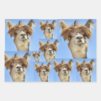 Bad Hair Day Inpakpapier Vel
