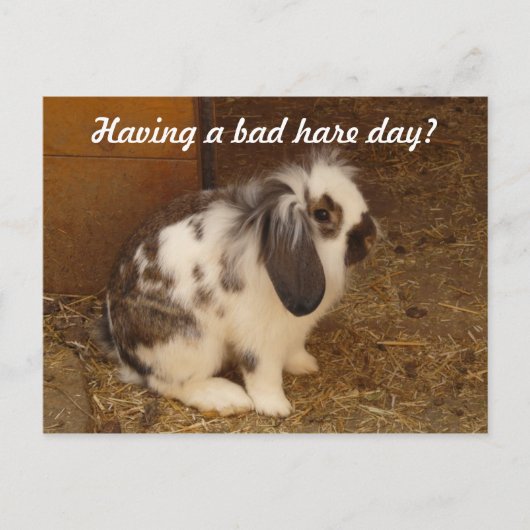 Bad Hare Day Briefkaart (Voorkant)