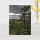 Bad-lands et carte de note orageux d'arbre de (Fleur jaune)