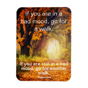 Bad Mood - Ga voor een Walk, Motivatie Citaat Magneet