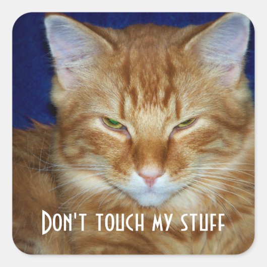 Bad Mood Tabby Sticker Chat (Devant)