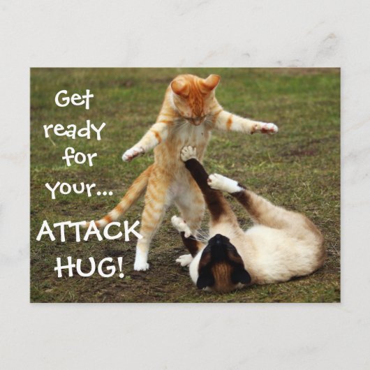 Badass Cats - Attack hug Briefkaart (Voorkant)