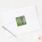 Badass Cats - "Tiny but Fierce" Vierkante Sticker (Envelop)