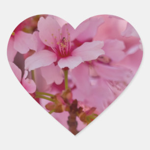 Badend in Roze Japanse Kersenbloesem Hart Sticker