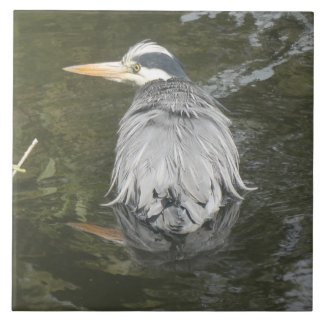 Badende Grijze Reiger Keramische Tegel Tegeltje