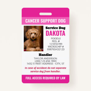 BADGE