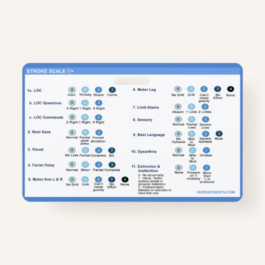 Badge Aiguille de l'échelle (Devant)