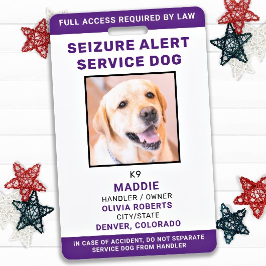 Badge Alerte de saisie Service personnalisé ID chien pho