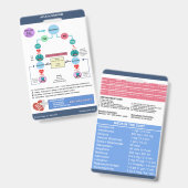 Badge Algorithme ACLS par Nurse Cheats® (Recto et verso)