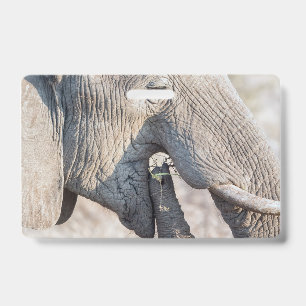 Badge Alimentation de l'éléphant