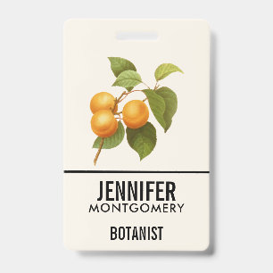 Badge Apricots orange vintage