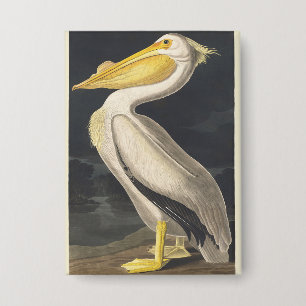 Badge Art vintage de l'Américain Pélican Blanc d'Audubon