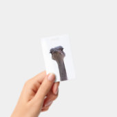 Badge autruche (Handheld)