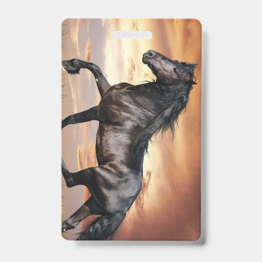 Badge Beau Cheval Noir (Avant)