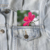 Badge Beauté de Shanghai (Insitu)