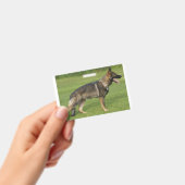 Badge Berger Allemand Sable Complet (Manuel / portable)