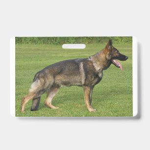 Badge Berger Allemand Sable Complet