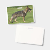 Badge Berger Allemand Sable Complet (Avant & arrière)