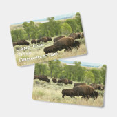 Badge Bison du Wyoming (Avant & arrière)