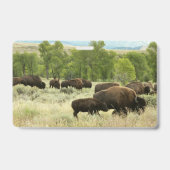 Badge Bison du Wyoming (Arrière)