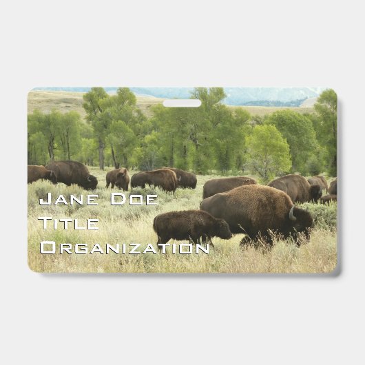 Badge Bison du Wyoming (Avant)