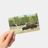 Badge Bison du Wyoming (Manuel / portable)