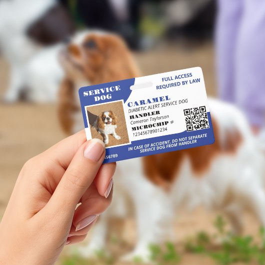 Badge Blue White Service Chien Photo ID QR Code