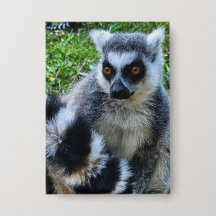 Button avec Ringstaartmaki - Imprimante animale un