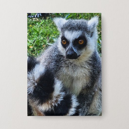 Badge Button avec Ringstaartmaki - Imprimante animale un (Recto)